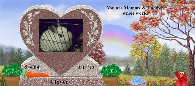 Clover's Rainbow Bridge Pet Loss Memorial Residency Image