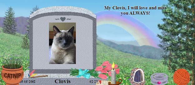 Clovis's Rainbow Bridge Pet Loss Memorial Residency Image