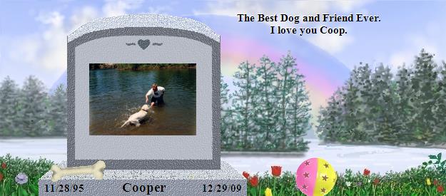 Cooper's Rainbow Bridge Pet Loss Memorial Residency Image