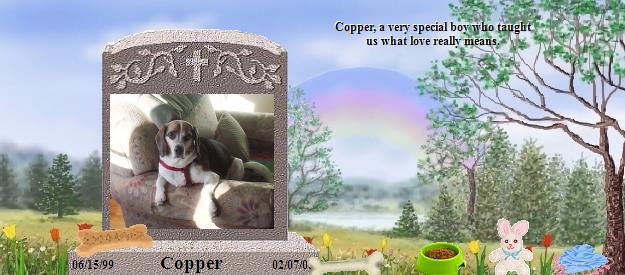 Copper's Rainbow Bridge Pet Loss Memorial Residency Image