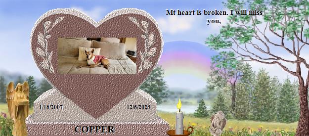COPPER's Rainbow Bridge Pet Loss Memorial Residency Image