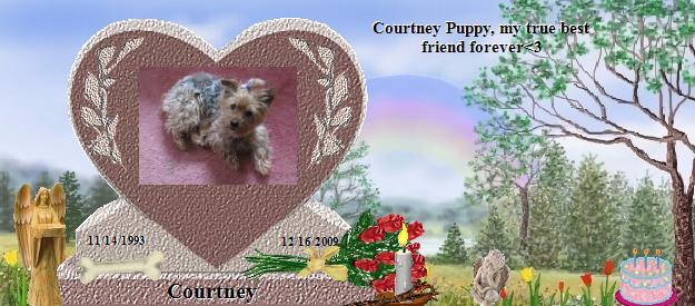 Courtney's Rainbow Bridge Pet Loss Memorial Residency Image