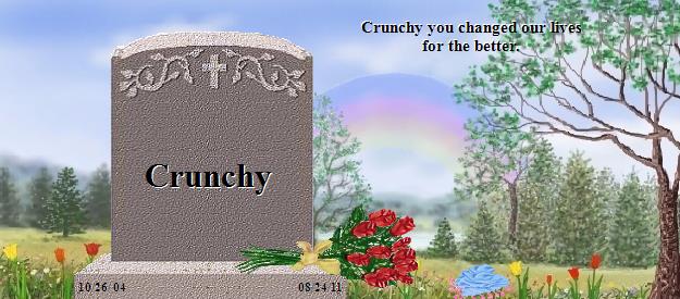 Crunchy's Rainbow Bridge Pet Loss Memorial Residency Image