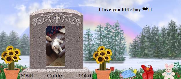 Cubby's Rainbow Bridge Pet Loss Memorial Residency Image