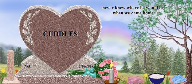 CUDDLES's Rainbow Bridge Pet Loss Memorial Residency Image