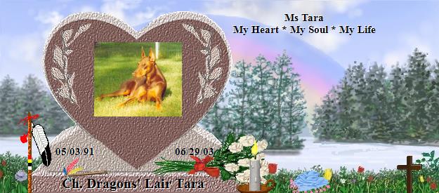 Ch. Dragons' Lair Tara's Rainbow Bridge Pet Loss Memorial Residency Image