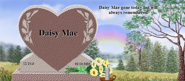 Daisy Mae's Rainbow Bridge Pet Loss Memorial Residency Image