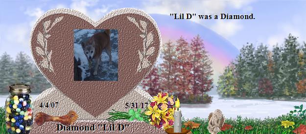 Diamond "Lil D"'s Rainbow Bridge Pet Loss Memorial Residency Image