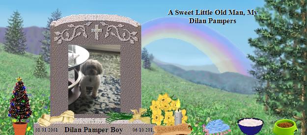 Dilan Pamper Boy's Rainbow Bridge Pet Loss Memorial Residency Image