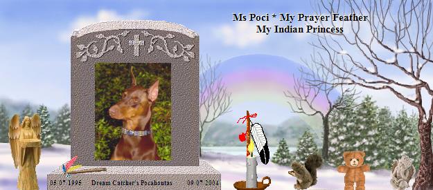 Dream Catcher's Pocahontas's Rainbow Bridge Pet Loss Memorial Residency Image