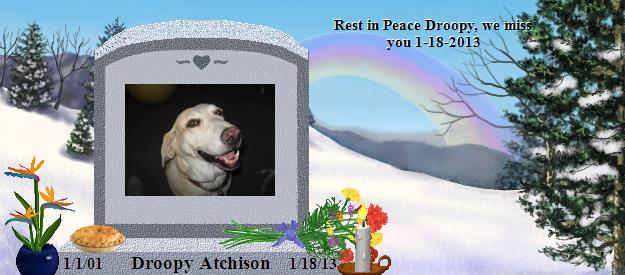 Droopy Atchison's Rainbow Bridge Pet Loss Memorial Residency Image