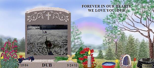 DUB's Rainbow Bridge Pet Loss Memorial Residency Image