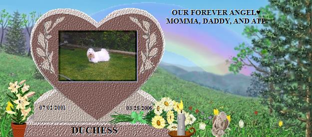 DUCHESS's Rainbow Bridge Pet Loss Memorial Residency Image