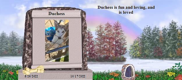 Duchess's Rainbow Bridge Pet Loss Memorial Residency Image