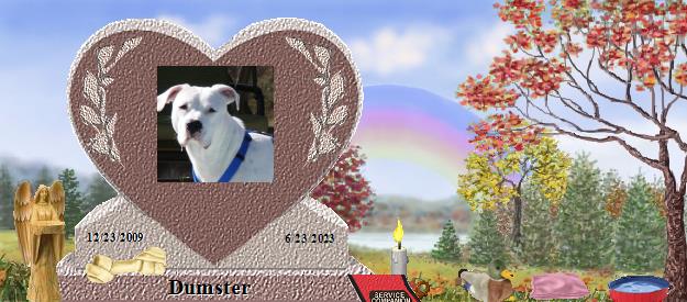 Dumster's Rainbow Bridge Pet Loss Memorial Residency Image