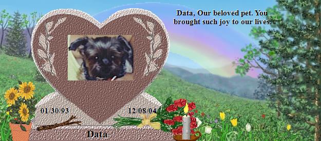 Data's Rainbow Bridge Pet Loss Memorial Residency Image