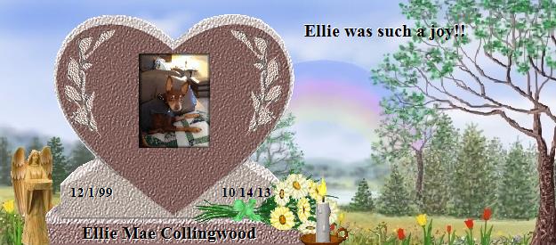 Ellie Mae Collingwood's Rainbow Bridge Pet Loss Memorial Residency Image