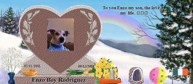 Enzo Boy Rodriguez's Rainbow Bridge Pet Loss Memorial Residency Image
