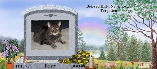 Feisty's Rainbow Bridge Pet Loss Memorial Residency Image