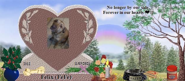 Felix (FeFe)'s Rainbow Bridge Pet Loss Memorial Residency Image