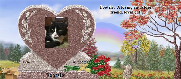 Footsie's Rainbow Bridge Pet Loss Memorial Residency Image