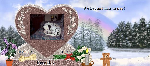 Freckles's Rainbow Bridge Pet Loss Memorial Residency Image