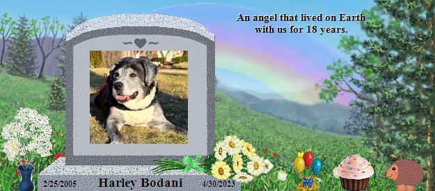 Harley Bodani's Rainbow Bridge Pet Loss Memorial Residency Image