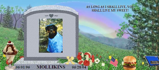 MOLLIKINS's Rainbow Bridge Pet Loss Memorial Residency Image