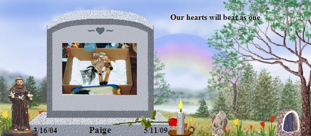 Paige's Rainbow Bridge Pet Loss Memorial Residency Image