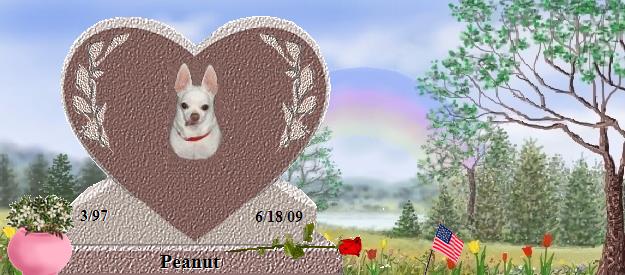 Peanut's Rainbow Bridge Pet Loss Memorial Residency Image