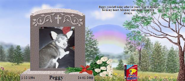 Peggy's Rainbow Bridge Pet Loss Memorial Residency Image