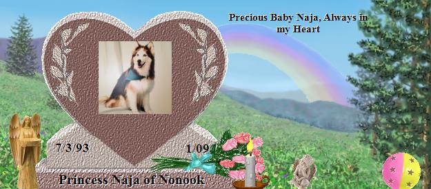 Princess Naja of Nonook's Rainbow Bridge Pet Loss Memorial Residency Image