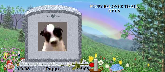 Puppy's Rainbow Bridge Pet Loss Memorial Residency Image