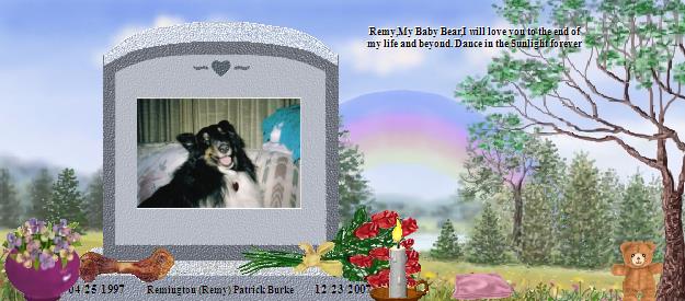 Remington (Remy) Patrick Burke's Rainbow Bridge Pet Loss Memorial Residency Image