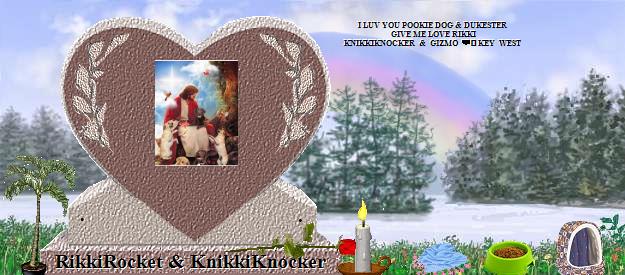 RikkiRocket & KnikkiKnocker's Rainbow Bridge Pet Loss Memorial Residency Image