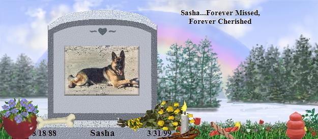 Sasha's Rainbow Bridge Pet Loss Memorial Residency Image