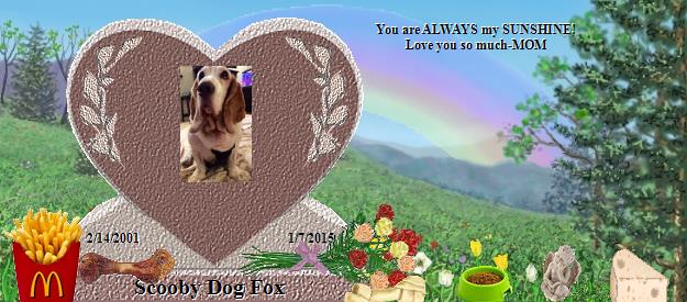 Scooby Dog Fox's Rainbow Bridge Pet Loss Memorial Residency Image