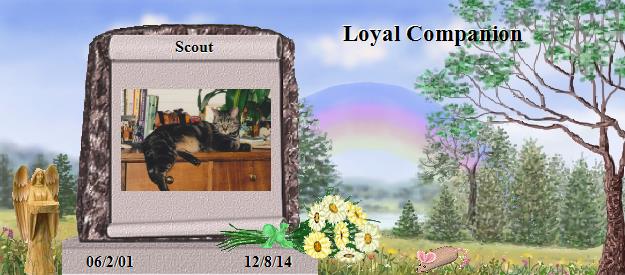 Scout's Rainbow Bridge Pet Loss Memorial Residency Image