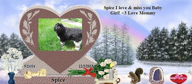 Spice's Rainbow Bridge Pet Loss Memorial Residency Image