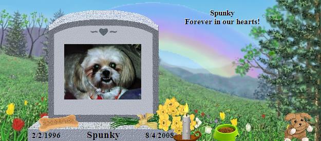 Spunky's Rainbow Bridge Pet Loss Memorial Residency Image