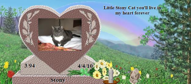 Stony's Rainbow Bridge Pet Loss Memorial Residency Image