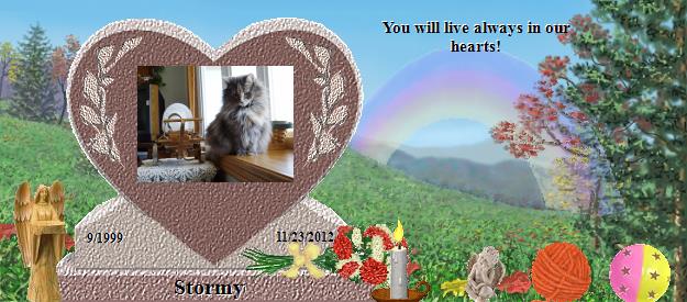 Stormy's Rainbow Bridge Pet Loss Memorial Residency Image