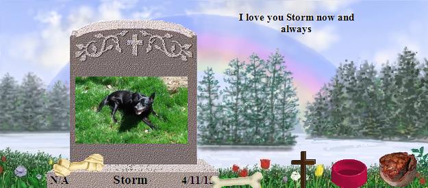 Storm's Rainbow Bridge Pet Loss Memorial Residency Image