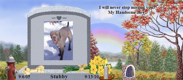 Stubby's Rainbow Bridge Pet Loss Memorial Residency Image