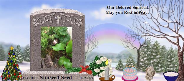 Sunseed Seed's Rainbow Bridge Pet Loss Memorial Residency Image