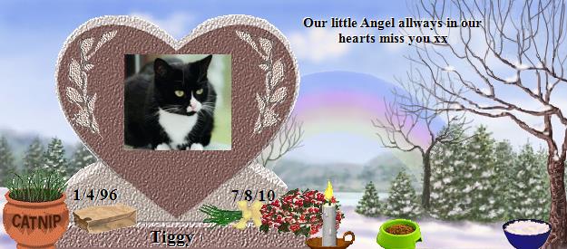 Tiggy's Rainbow Bridge Pet Loss Memorial Residency Image