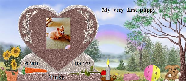 Tinky's Rainbow Bridge Pet Loss Memorial Residency Image