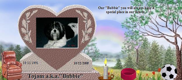 Tojam a.k.a."Bubbie"'s Rainbow Bridge Pet Loss Memorial Residency Image