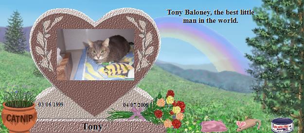Tony's Rainbow Bridge Pet Loss Memorial Residency Image