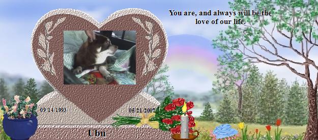 Ubu's Rainbow Bridge Pet Loss Memorial Residency Image